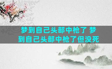 梦到自己头部中枪了 梦到自己头部中枪了但没死